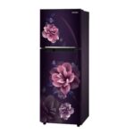 Samsung 236 L Digital Inverter Technology Double Door Refrigerator