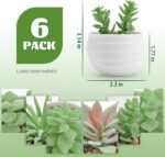 Pots Small Fake Plants Der Rose Set of 6 Succulents Plants Artificial in for Bedroom Aesthetic Living Room Shelf Bathroom Decor Office Desk Accessories - Image 5