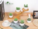 Pots Small Fake Plants Der Rose Set of 6 Succulents Plants Artificial in for Bedroom Aesthetic Living Room Shelf Bathroom Decor Office Desk Accessories - Image 2