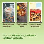 Healthy Land Nutmix 500g - 6 in 1 unroasted Nuts and Mixed Nuts - Almonds, Cashews, Walnuts, Pistachios, Black & Green Raisins - Healthy Snack Unsalted & Natural - Refillable Jar 500g - Image 4