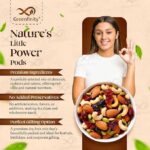 GreenFinity Mixed Dry Fruits Pack – 500g Nutritious Snack with Almonds, Cashews, Raisins & Cranberries  Resealable Pack - Image 3