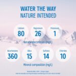 Evian  Pure Natural Mineral Water Bottle, 500 ml x 24 - Image 2